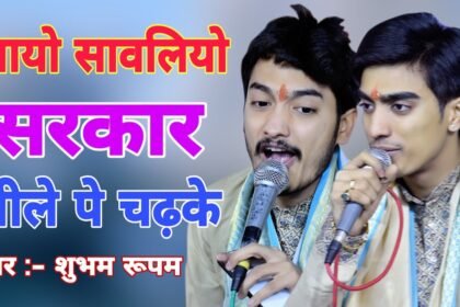 Aayo Sawariyo Sarkar Neele Pe Chad Ke Lyrics